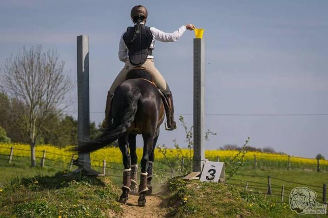 anforderungen an das reiten in dressurprüfungen exigences équitation dressage